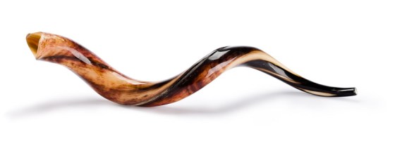 Shofar image